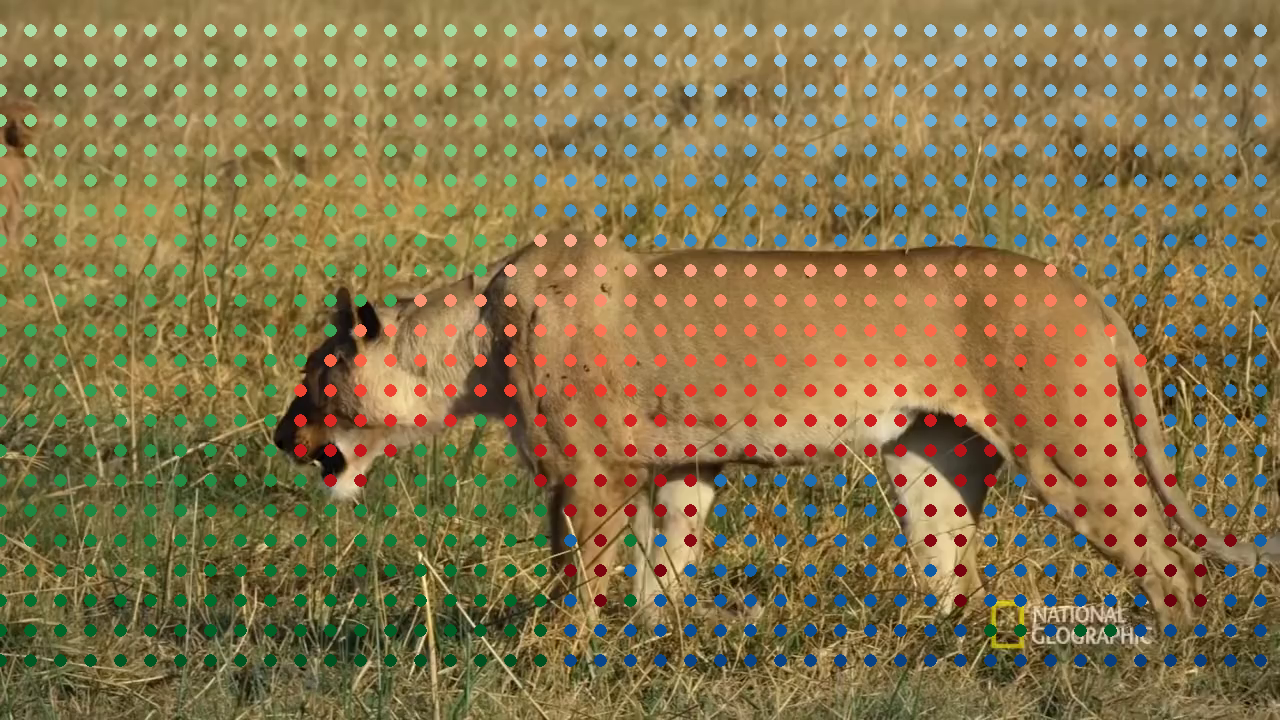 Reference frame 0