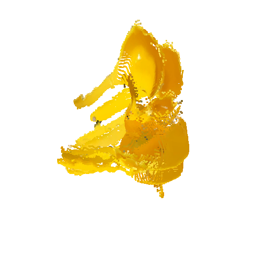 MapAnything reconstruction, HANDAL static