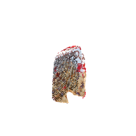 Pi3 reconstruction, HOPEv2 dynamic